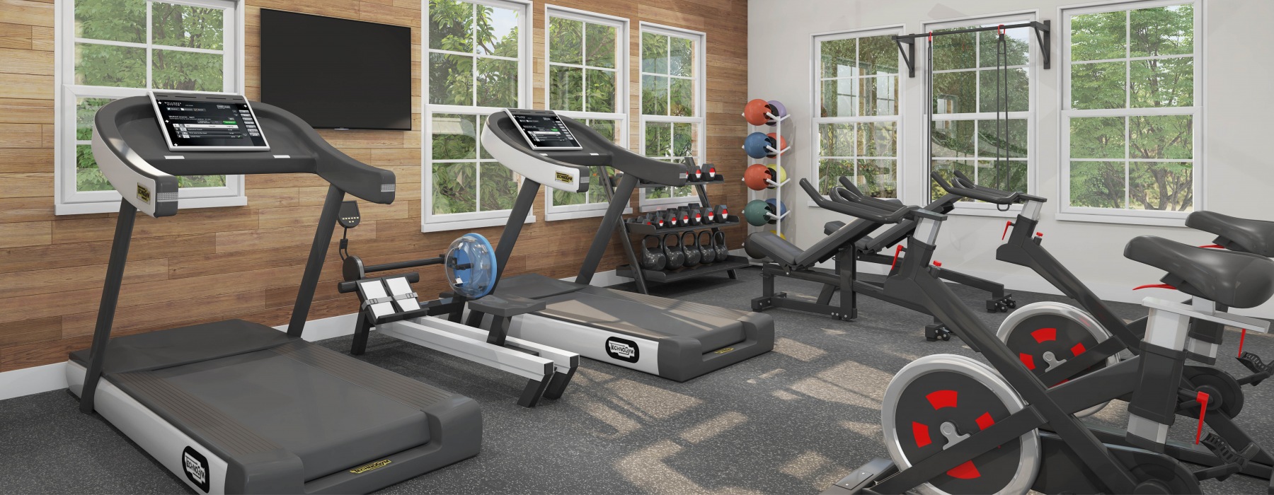 Fitness Center At Beacon Ridge Single Family Rentals In Plymouth, MN